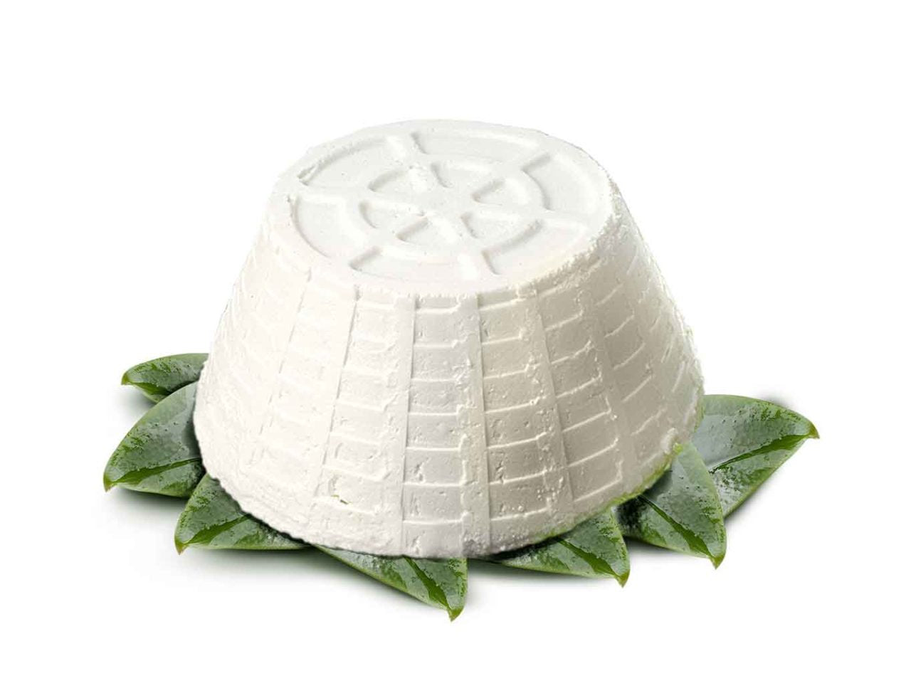 Ricotta di Bufala 1kg - Fattoria