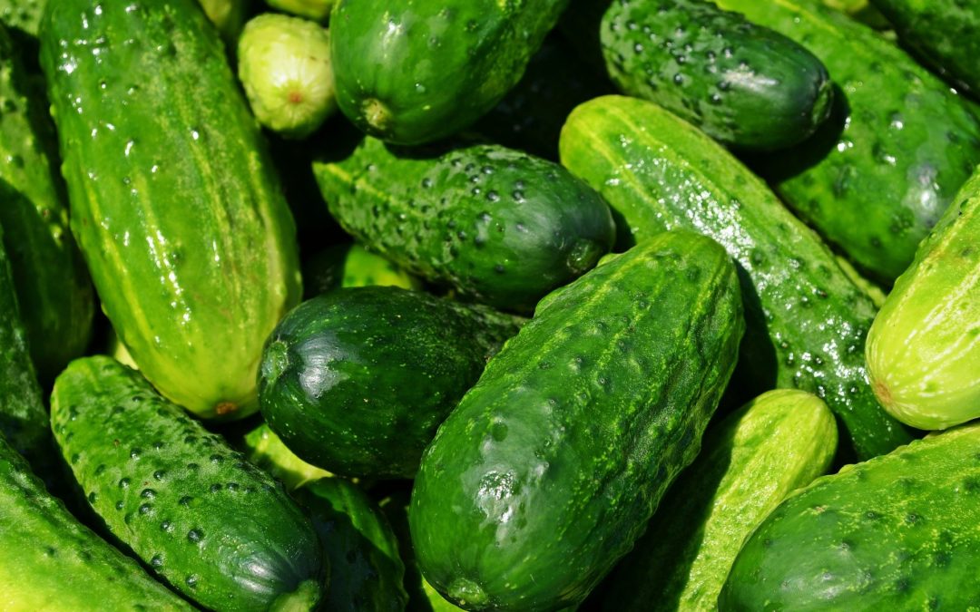 CUCUMBERS