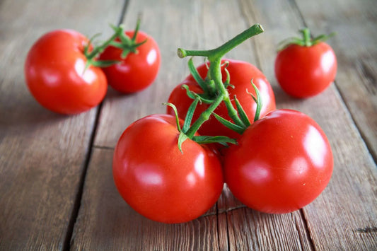 COPPER TOMATO