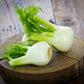 FENCHEL