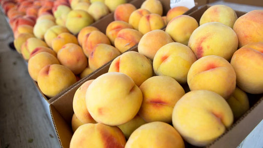 YELLOW FLUSH PEACHES