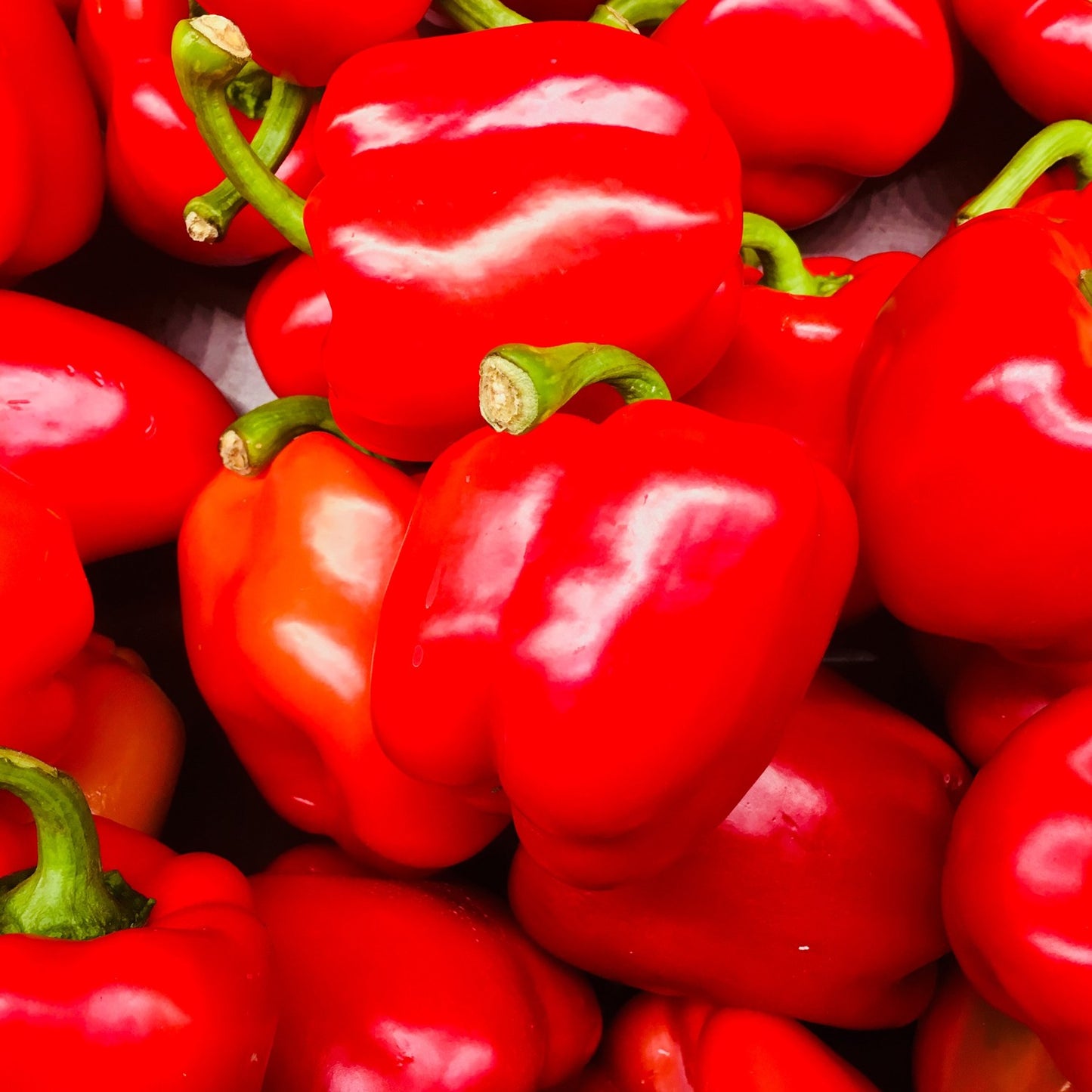 RED PEPPER