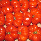 POMODORO COSTOLUTO