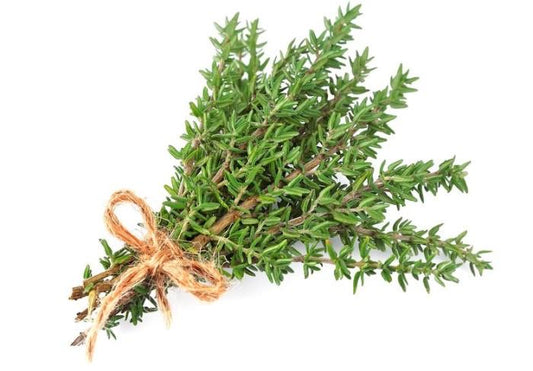 SELECTED THYME LEAVES GR. 180 pet