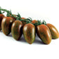 ZEBRINO TOMATO