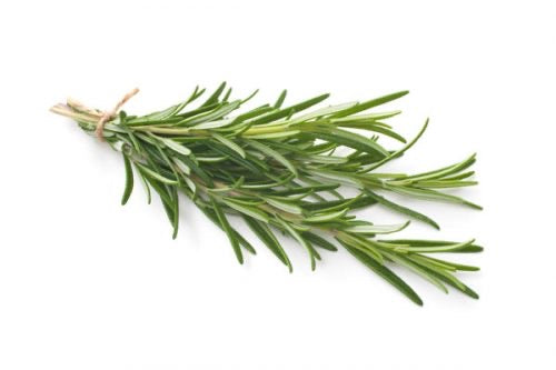 ROSEMARY LEAVES