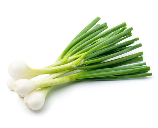 WHITE ONION