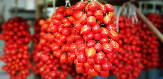 ROTE PIENNOLO-TOMATE