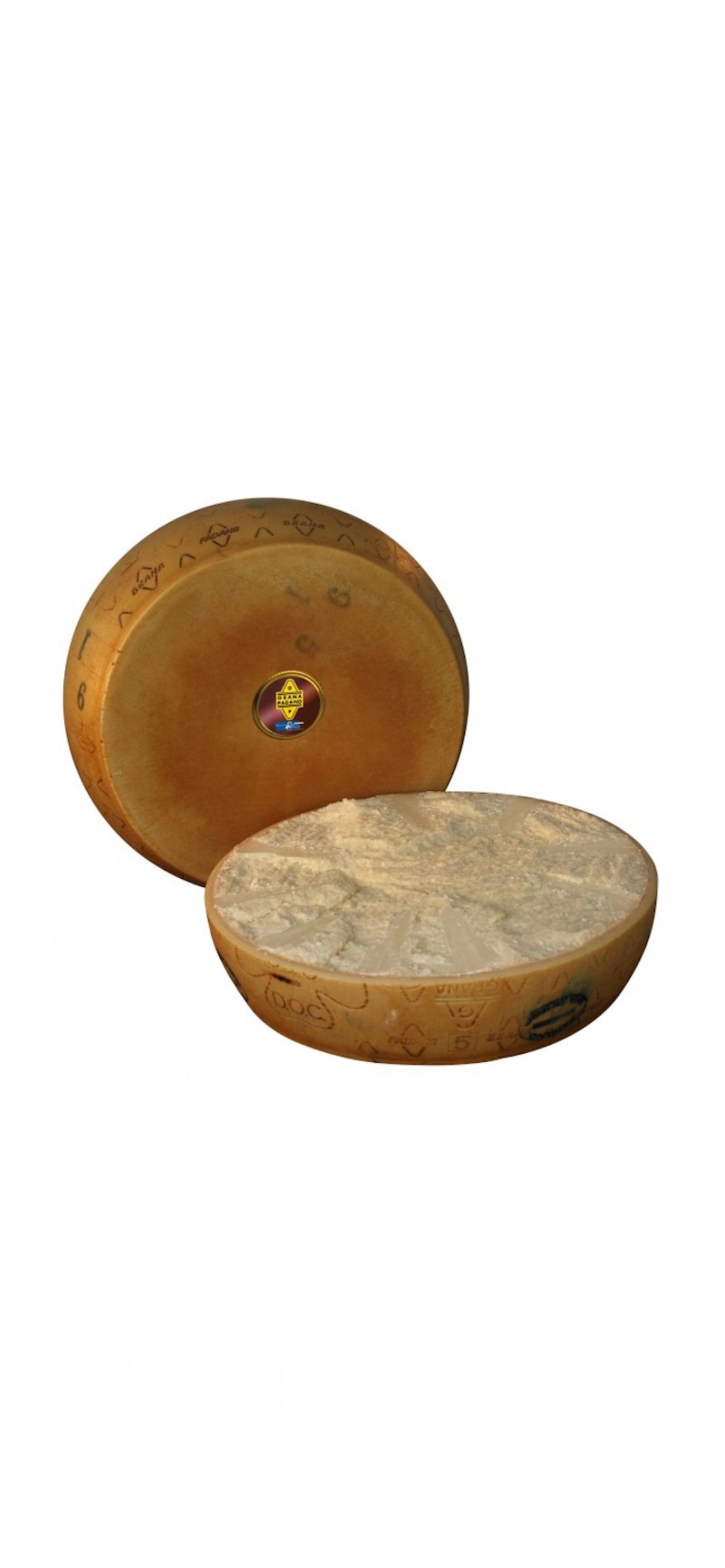 GRANA PADANO DOP 1/2 wheel 20Kg