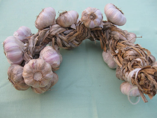 BRAIDED GARLIC