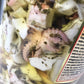 Insalata di Mare oceano in Olio